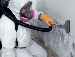 Best Basement Mold Removal  in Atchison, KS